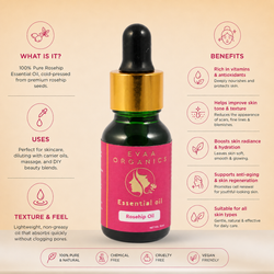 Best Rosehip Oil for Face
